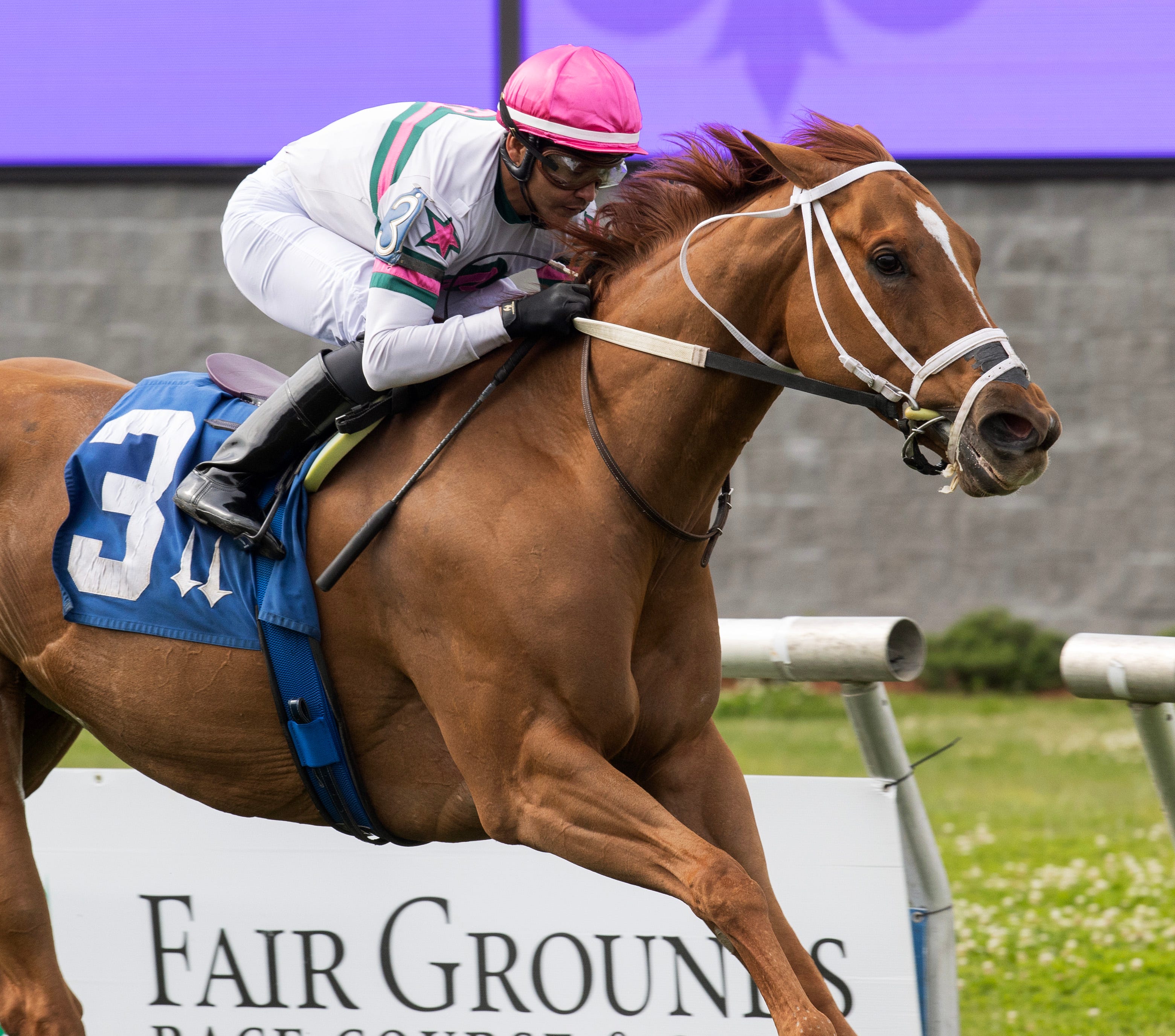 Horse Trainer Standings